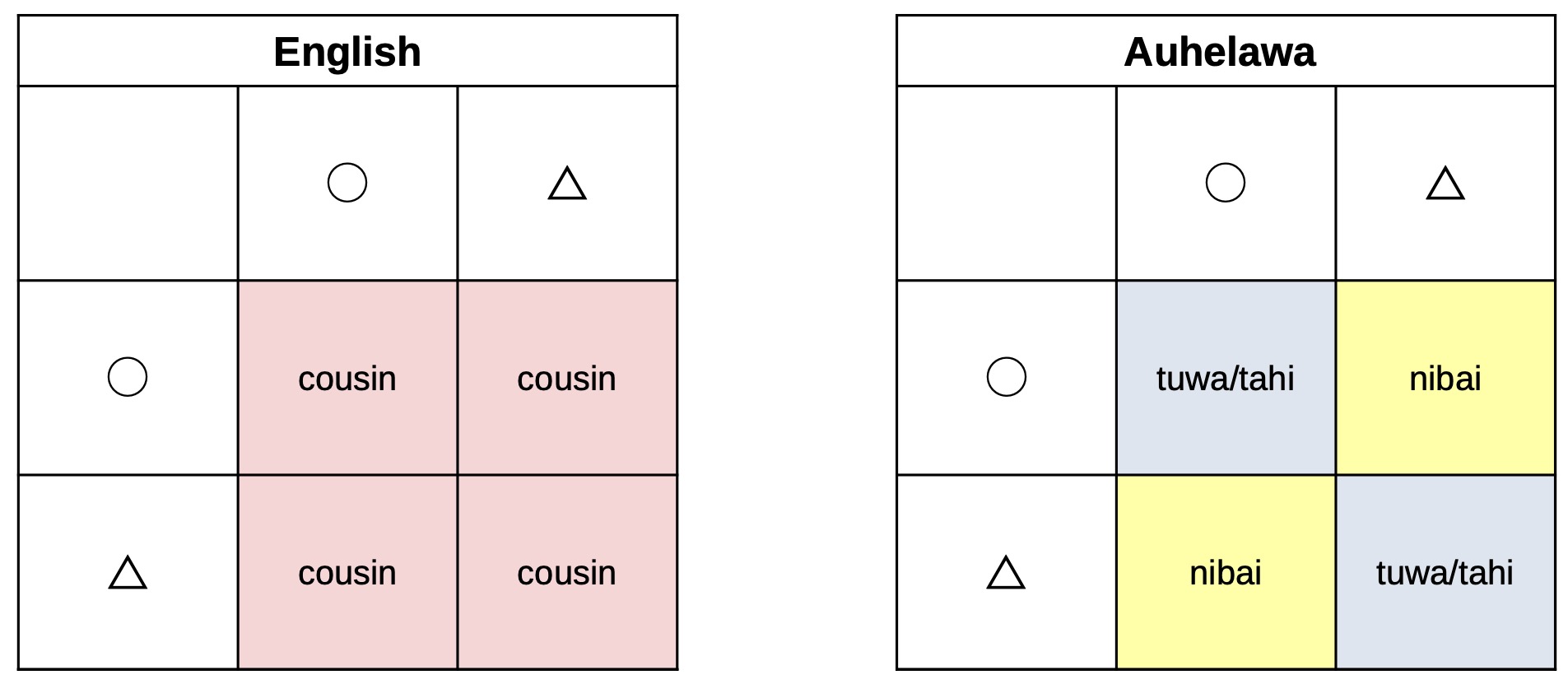 An analysis of the range of the English word cousin compared to the several precise terms used in Auhelawa for the same people.