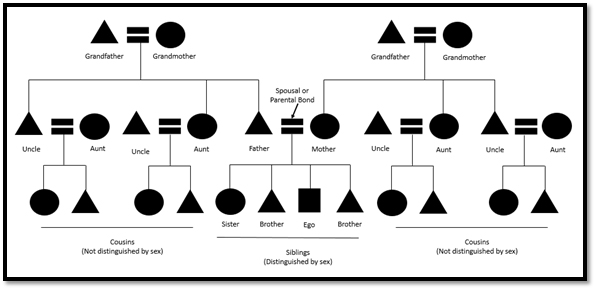 An example kinship diagram using the conventional symbols for people and their genealogical relationships (Gilliland 2020, fig. 2).