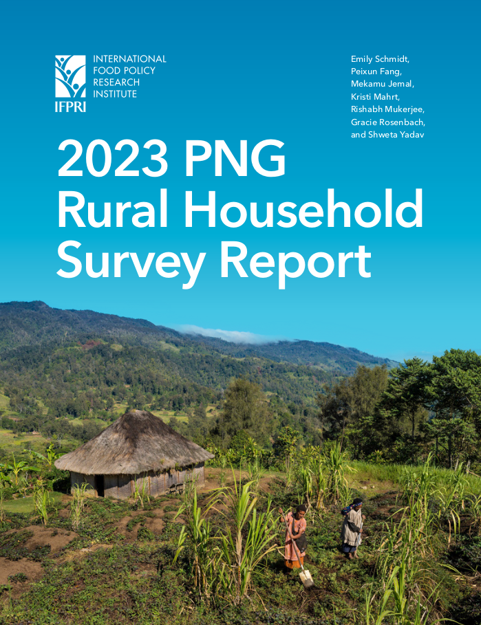 The cover of a 2024 report on food security in rural PNG, depicting two woman tending a food garden with a shovel and hand tools near a simple house constructed with bush materials and a thatched roof at the top of a steep hill, set against the background rugged, lush forested mountains and a brilliant clear blue sky (Schmidt et al. 2024).